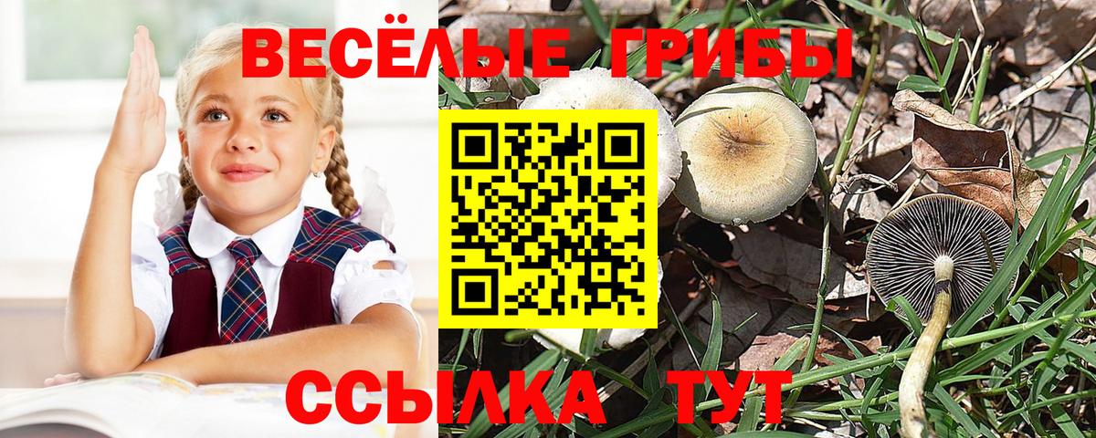 где можно купить наркотик  Вход с VPN  Когалым  Псилоцибиновые грибы мухоморы 